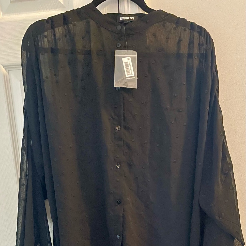 Express Sheer High Low Tunic